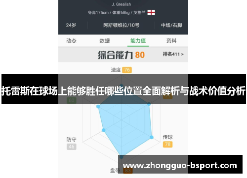 托雷斯在球场上能够胜任哪些位置全面解析与战术价值分析