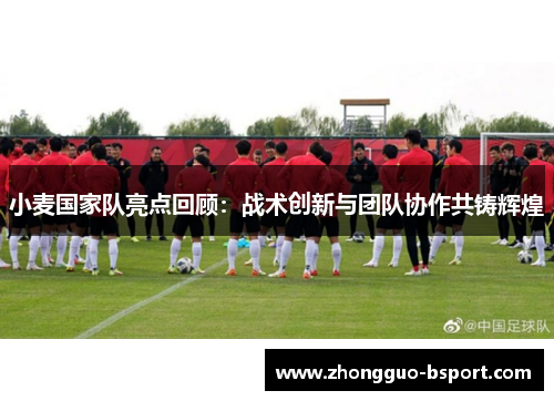 小麦国家队亮点回顾：战术创新与团队协作共铸辉煌