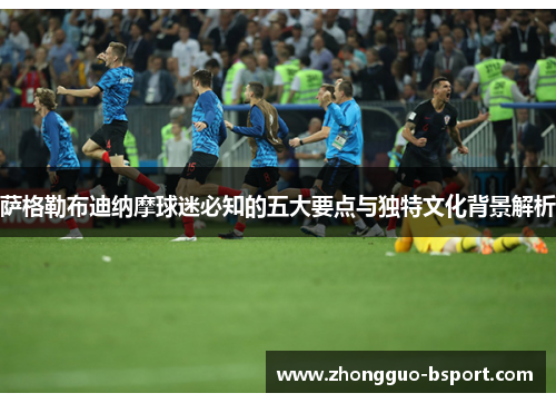 萨格勒布迪纳摩球迷必知的五大要点与独特文化背景解析